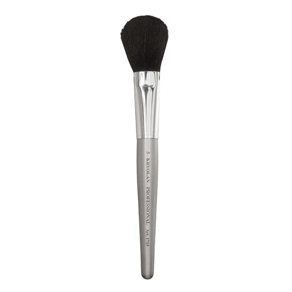 Professional Powder Brush 5