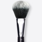 Brushes