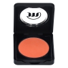 Eyeshadow in Box Type B - 51