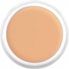 Dermacolor Camouflage Creme - d3w