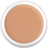 Dermacolor Camouflage Creme - d4w