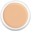 Dermacolor Camouflage Creme - d50
